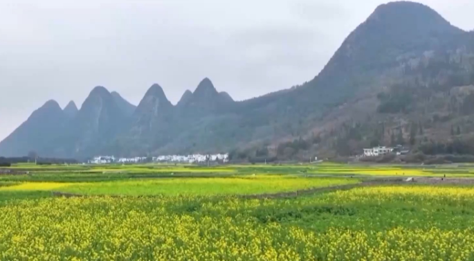 中央一號文件發布 有何新亮點？