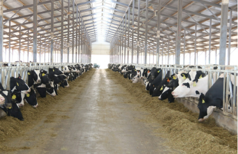 云南統籌逾六億元資金打造