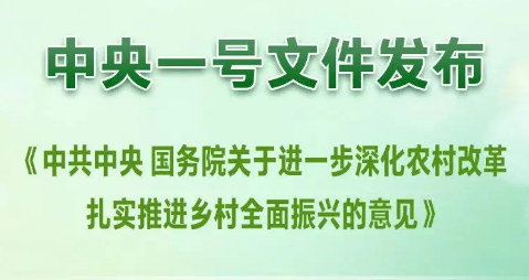 中央一號文件，權威回應