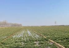 河南封丘：春風吹響沖鋒號 揚帆奮進正當時