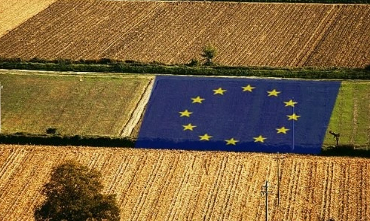 歐盟農業新愿景難掩分歧