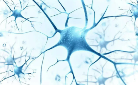 AI賦能 政策護航 罕見病加速被“看見”診療迎來新機遇