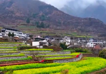 春風吹熱“花經濟” 農文旅融合為鄉村振興“增色添香”