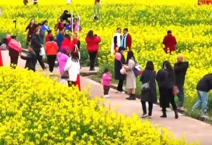 好風景變身好“錢”景 鳥語花香點亮“春日經濟”新活力