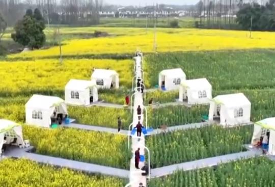 坐飛機賞花、圍爐煮茶、花田火鍋……花樣新場景釋放消費新活力