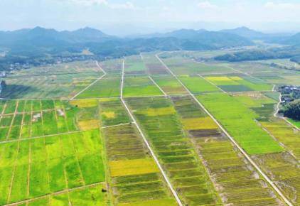 福建南平：中國電信智能化應用解鎖春耕新農具