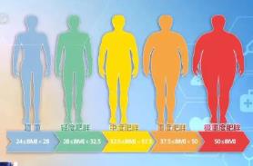 國家版減肥指南來了！權威食譜，細化到地區