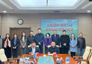 黑龍江高蛋白大豆新品種成功轉化1155萬元