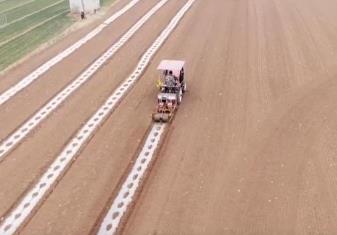 創新種植模式高效利用土地資源 助力農戶增收