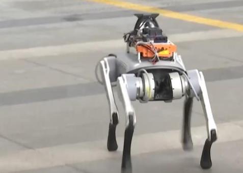 精準操控！機器人技能大升級 具身大模型助力實現多元應用