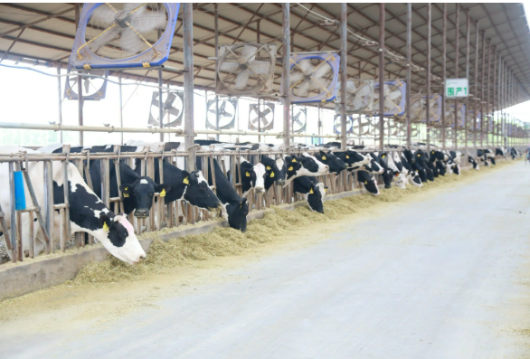 國內首個畜牧業碳排放數據集獲北京數據知識產權登記