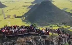 從“春日限定”到“四季長青” “花”文旅融合為鄉村振興“增色添香”