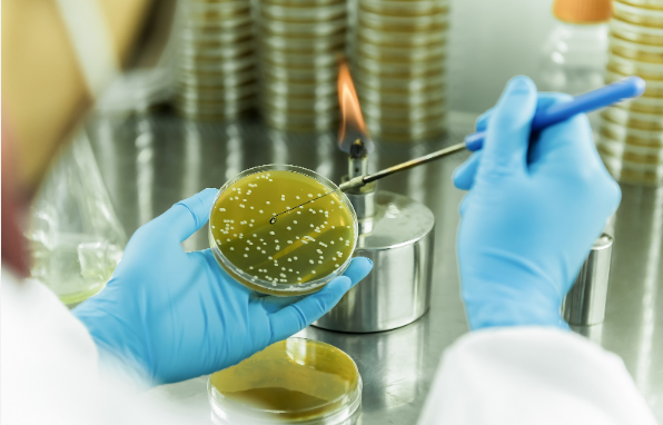 招商局集團領航生物基聚酰胺創新突破 打造生物經濟新引擎