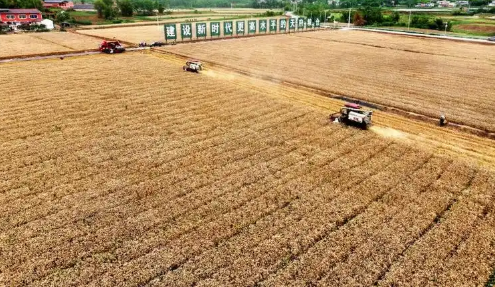 四川省仁壽縣糧油產量邁上新臺階