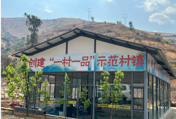 協作共繪振興圖——云南大理區域協作幫扶一線見聞