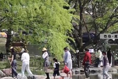 “云端瞰花”、夜櫻觀賞、戶外露營……消費場景融合煥新 旅游市場平穩有序