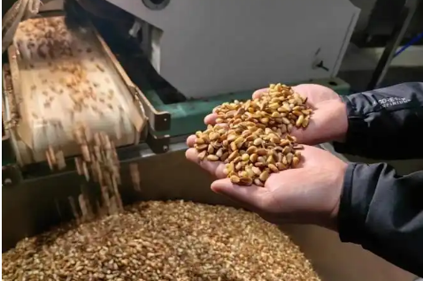 吉林梅河口松子產業的四十年升級之路