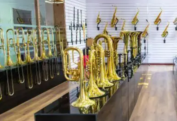 天津市靜海區蔡公莊鎮：中國小鎮奏響薩克斯“世界之音”