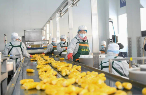 拓潛力、增活力、聚合力——東北三省加快壯大民營經濟