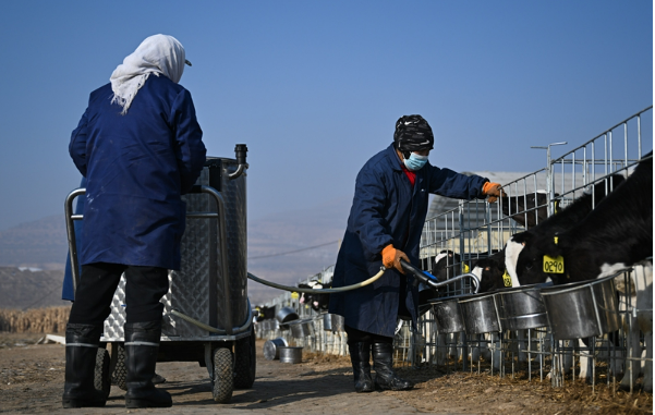牢牢守住不發生規模性返貧致貧底線——西部脫貧地區“5年過渡期”一線觀察