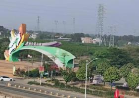 中國茉莉花之鄉鮮花供不應求：新式茶飲風行，吸引更多年輕人消費