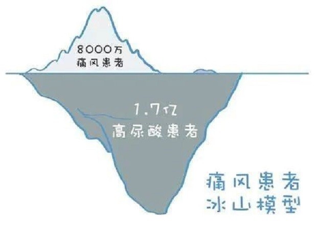 1745034075695379.jpg