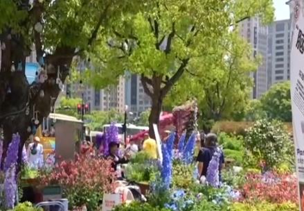以花為媒、以科創為引擎 城市空間消費新業態上“新”引領文化新風尚