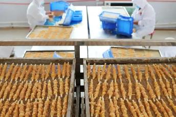 寵物食品上市公司去年業績亮眼 自主品牌加速崛起