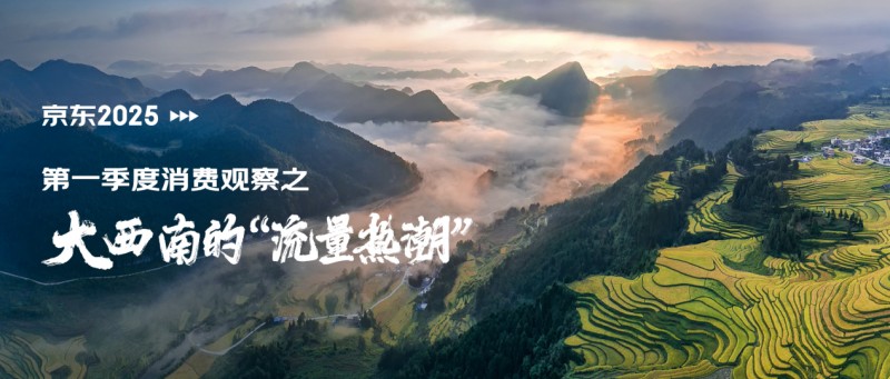 京東一季度消費觀察：大西南的“流量熱潮”