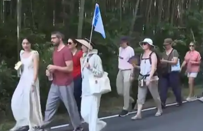 暴漲96%！一季度“中國游 中國購”持續升溫