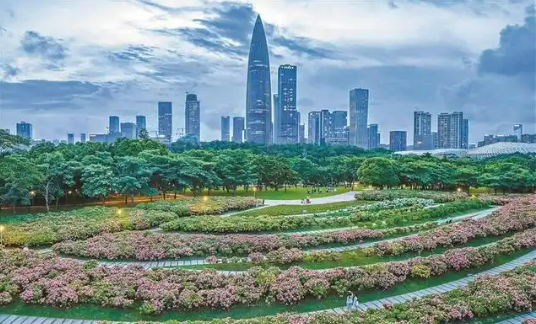 從“千園之城”邁向“全域公園城市” 深圳如何做到“又快又好”“又大又美”