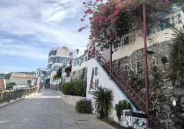 從田園到網紅，廣東鄉村逆襲記