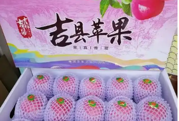 山西臨汾再添“金名片”兩個產品獲地理標志產品認定