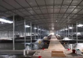 鮮活水產品直通國際市場 特色養殖帶動就業增收