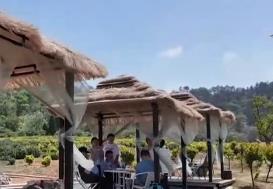 旅游消費從中心城鎮向農村市場擴散 鄉村旅游煥發雙向奔赴新活力