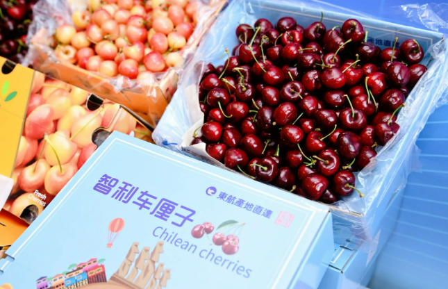 連續十多年，智利穩坐我國進口車厘子第一大來源地