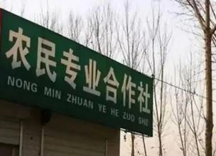 河南發文深化供銷合作社綜合改革