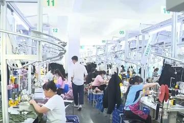 國際訂單回流 外貿企業“火力全開”趕訂單、拓市場