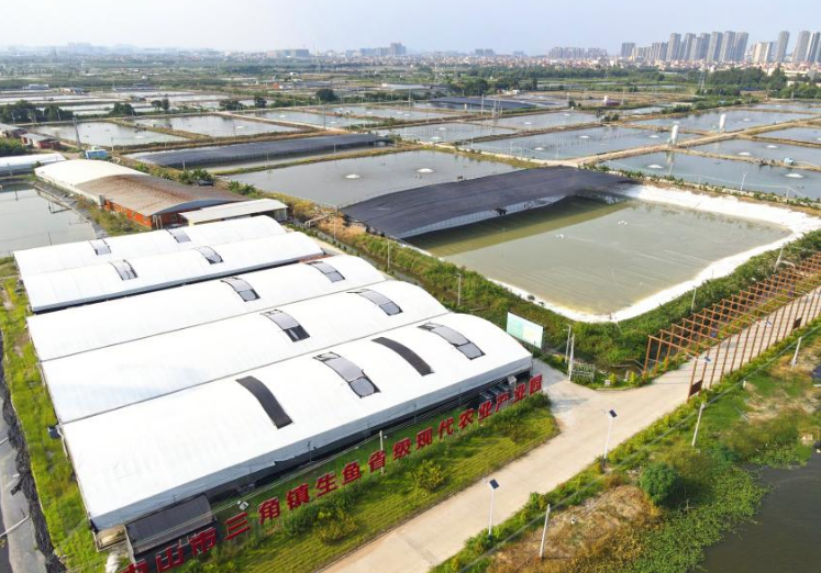 中國移動5G助力“中國生魚之鄉”書寫鄉村致富經