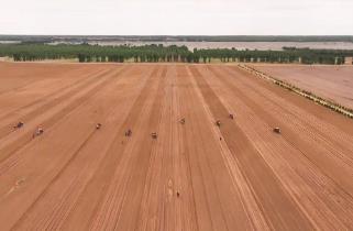 內蒙古敖漢旗：百萬畝谷子播種啟幕 續寫“世界小米之鄉”輝煌