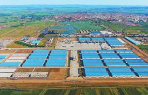 黑龍江雙鴨山：真抓實干加速推動招商引資和項目建設