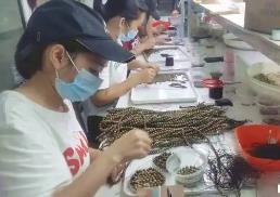 廣東茂名： 特色金融助力沉香產業騰飛