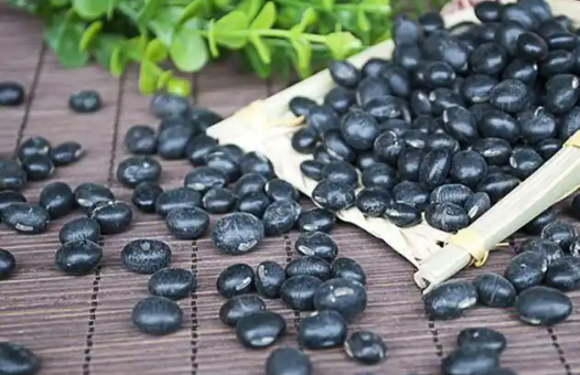 黑龍江明水黑豆產業：撬動鄉村振興的