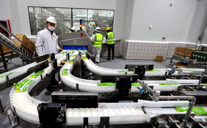 數字化轉型與產業升級開辟就業新空間