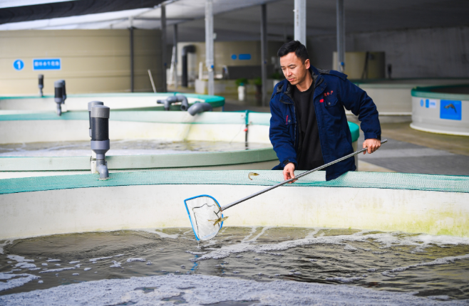 瓊寧兩地聯手推動水產“南北合作”模式落地 海鮮在寧夏成功“安家”