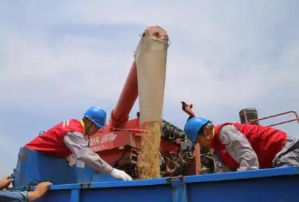 山西臨汾：保電到田間 抗旱保豐收