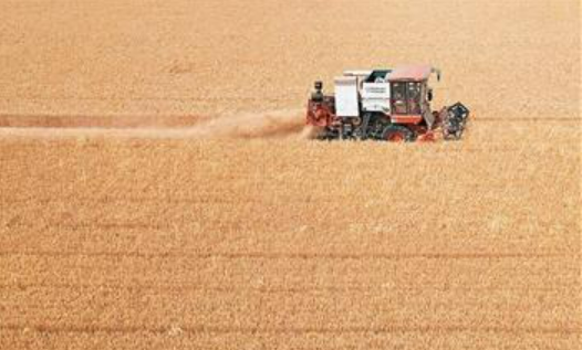 全國“三夏”大規模小麥機收全面展開——1700萬套農機具助力豐收