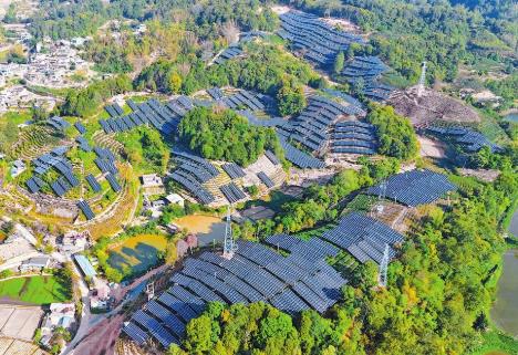 國內單體規模最大“茶光互補”電站并網