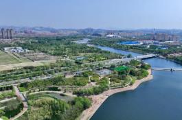 青島平度：下好“三步棋”全力賦能招商引資提質增效