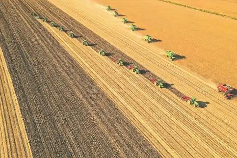 黑龍江糧食總產量登上1600億斤臺階